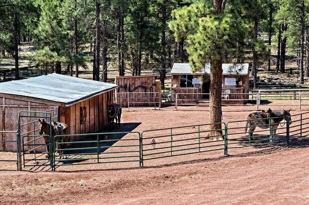 Mountain Ranch Resort At Beacon Hill Вильямс Экстерьер фото